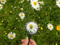 I Rodzinny Piknik dla Uczniów i Rodziców ZSnr9