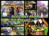 Rodzinny Park Atrakcji w Rybniku