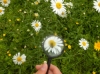I Rodzinny Piknik dla Uczniów i Rodziców ZSnr9