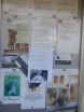 \"Galeria