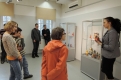 \"Galeria