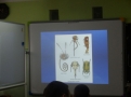 Warsztaty entomologiczne