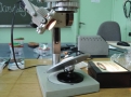 Warsztaty entomologiczne