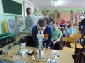 Warsztaty entomologiczne
