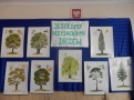 Jesteśmy przyjaciółmi drzew