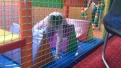 \"Galeria