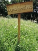 \"Galeria