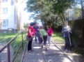 \"Galeria