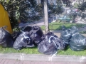 Sprzątanie Świata 2014