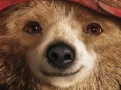 Paddington w kinie „Centrum”