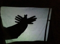 \"Galeria
