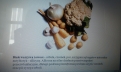 \"Galeria
