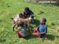 Akcja WATOTO