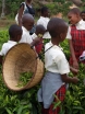 Akcja WATOTO
