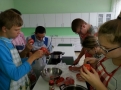 Przecier pomidorowy