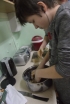 \"Galeria