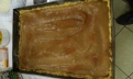 \"Galeria