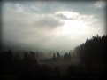\"Galeria