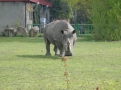 Wycieczka do ZOO