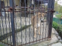 Wycieczka do ZOO
