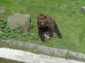 Wycieczka do ZOO