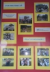 \"Galeria