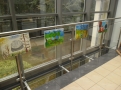 \"Galeria