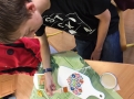 Pracowici uczniowie klas PP