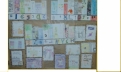\"Galeria