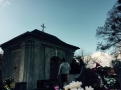 \"Galeria