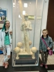 \"Galeria