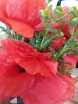 \"Galeria