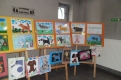 Zespół Szkół nr 9 im. dr Mikołaja Witczaka,  Jastrzębie-Zdrój, Galeria