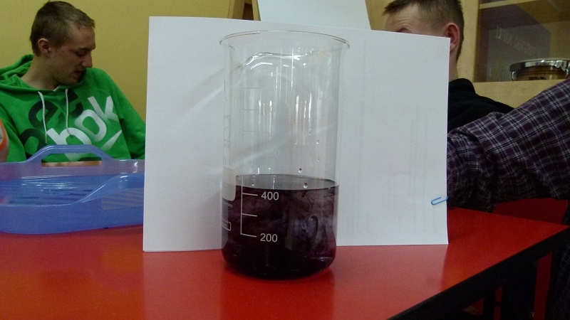 P1000133