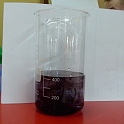 P1000133