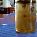 P1000136
