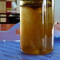 P1000137