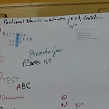 P1000198