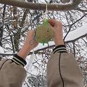 IMG_7354