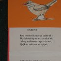 IMG_7531