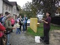 SAM_0046