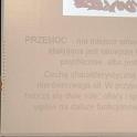 SAM_0087