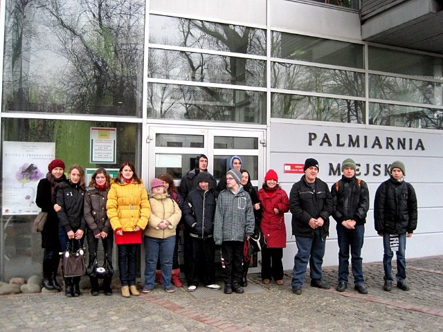 palm