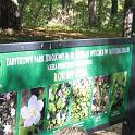 IMG_3449